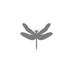 Dragonfly icon isolated on white background