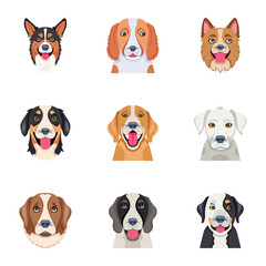 Basic RGBModern Bundle of Dogs Flat Vectors 

