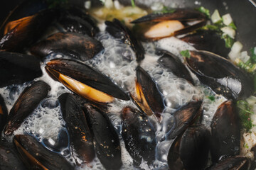 Mussels in flaps are cooked in wine sauce with parsley, garlic and shallots, according to the traditional recipe. Mediterranean cuisine.