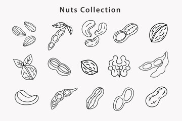 Organic Nuts Soybean Collection. Peanut, Almond