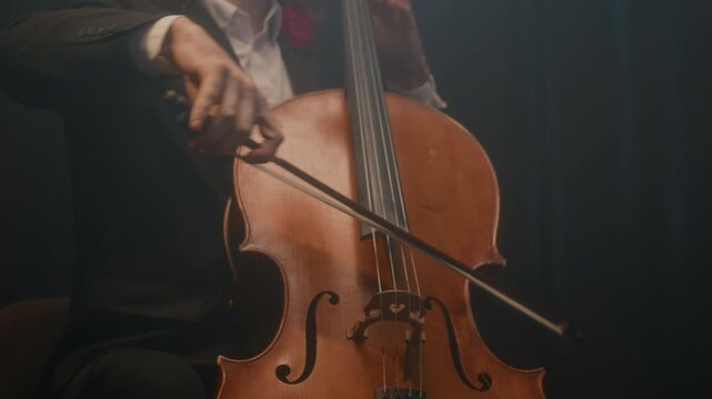 Cropped shot of Caucasian group of classical male and female musicians playing string instruments during concert on stage indoors