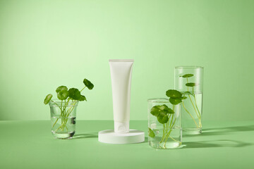 CENTELLA ASIATICA CONCEPT