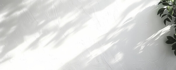Obraz premium A clean white background with a slight sheen, perfect for creating a polished and professional look.