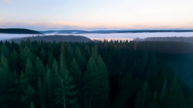 Hyperspeed FPV Flight Over a Misty Forest at Dawn