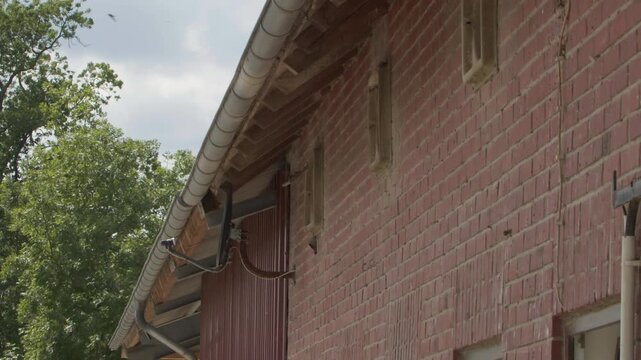 Common house martin birds flying to their nest under the rooftop and bringing their baby bird nestlings food