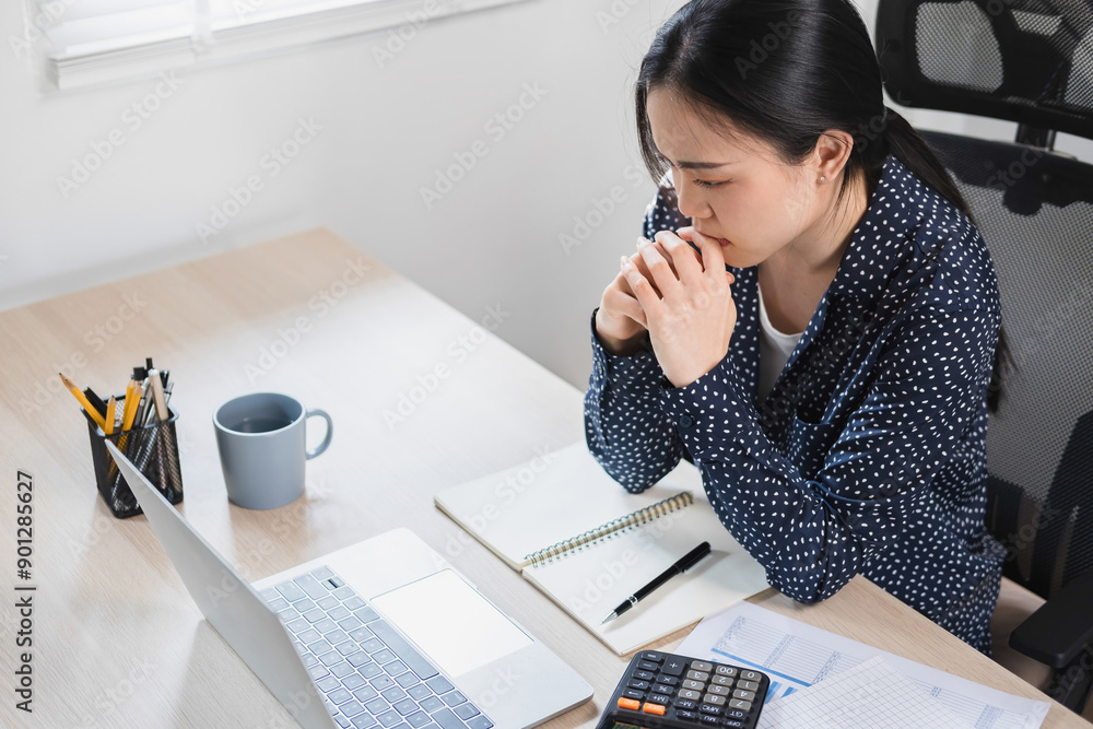 Wall mural Businesswoman sitting at desk on couch in workplace or at home working on laptop and analyzing data on charts and graphs and writing on papers to make business plan 