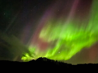 beautiful green colored aurora borealis in the arctic sky in norway above the hills