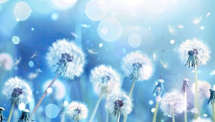 Soft Focus Dandelions with Bokeh Background