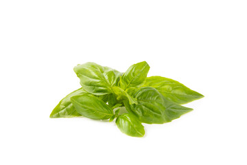 Basil isolated on white background. Fresh organic basil leaves isolated on white background. Spices. Vegan.