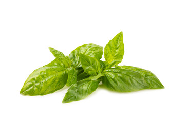 Basil isolated on white background. Fresh organic basil leaves isolated on white background. Spices. Vegan.
