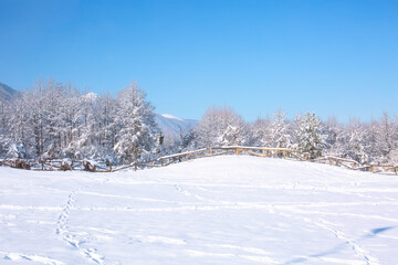 Winter forest, wooden fence panorama