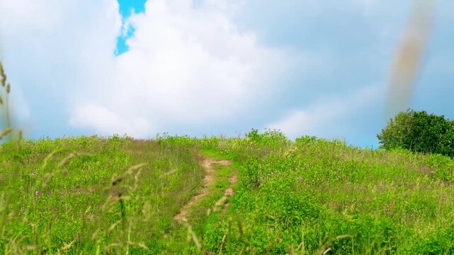 A well-trodden road up the hill. Narrow footpath in a field with grass. Empty path for hiking and walking in nature. Climbing up.