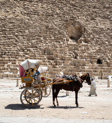 horse and carriage on piramid