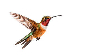 Fototapeta premium Colorful hummingbird in mid-flight with detailed feathers isolated on transparent background, ideal for nature-themed design projects and wildlife art illustrations