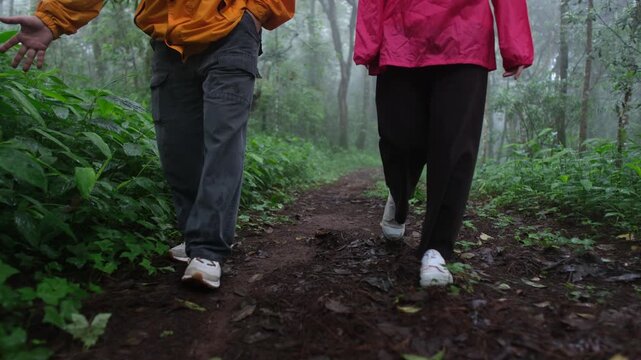 Three people are walking through a forest wearing raincoats. Scene is peaceful and serene, as the group is enjoying a walk in nature despite the rain