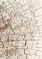 Obraz premium Abstract poster with tree trunk texture. Crack pattern on an old tree stump, close-up. Vector image.