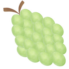 green grape isolated on white