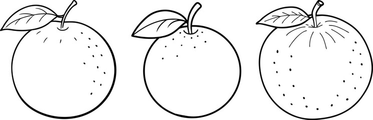 Clementine fruit outline coloring book page and digital line art