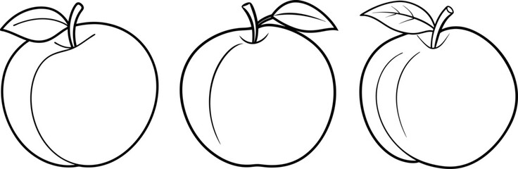 Nectarine fruit outline coloring book page and digital line art
