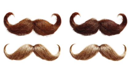 Four vintage-style mustaches in different shades of brown, neatly displayed against a white background.