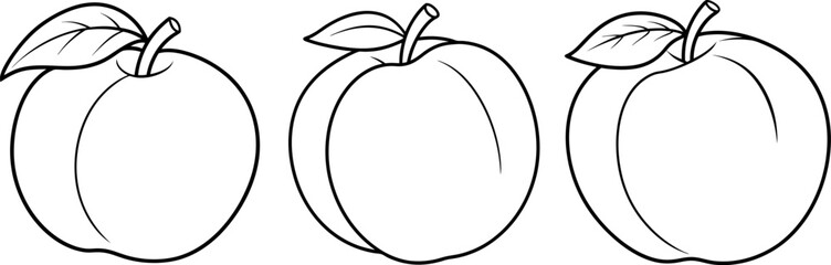 Peach fruit outline coloring book page and digital line art