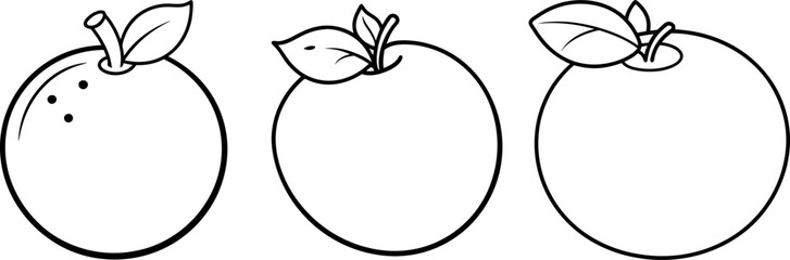 Blueberry fruit outline coloring book page and digital line art