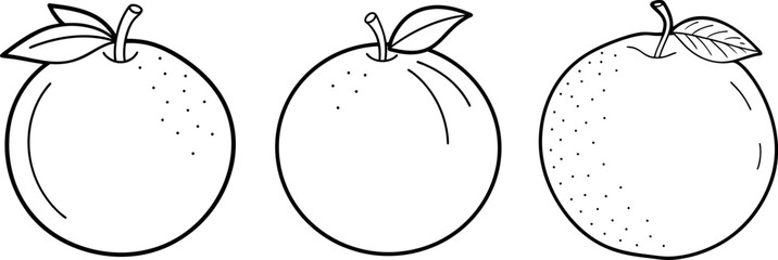 Orange fruit outline coloring book page and digital line art