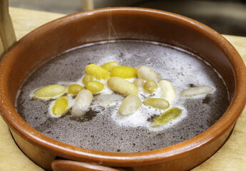 Natural silkworm cocoons