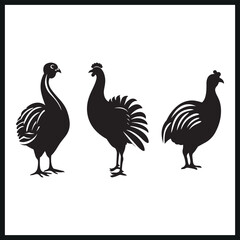 Vector Turkey silhouette. animal silhouette, logo, clip art 