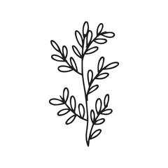 hand drawing black line floral isolated on white background. botanical floral