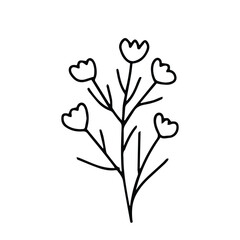 hand drawing black line floral isolated on white background. botanical floral