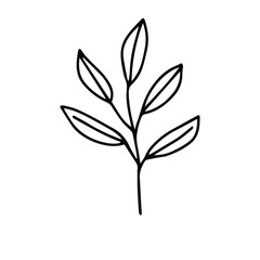 hand drawing black line floral isolated on white background. botanical floral