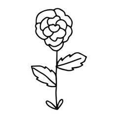 line floral isolated on white background. floral logo design