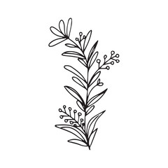Obraz premium hand drawing black line floral isolated on white background. botanical floral