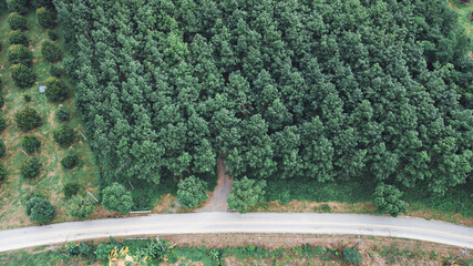 Road aerial of top view. top view of rice farm road. Top view street road during sunset.