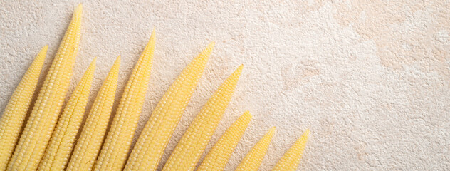 Raw baby corn in husk with red silk on gray table background.
