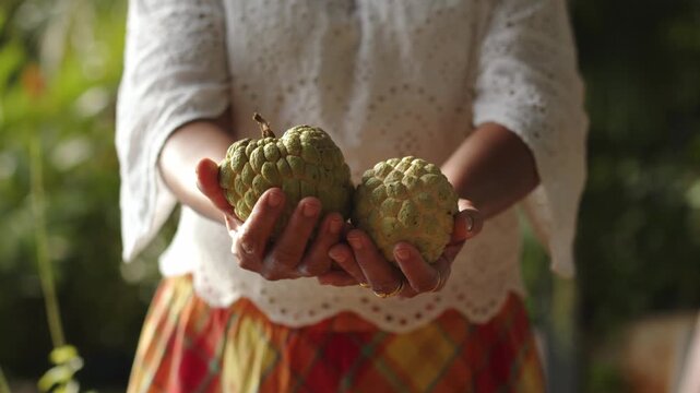 Female Holding Sugar Apples In Her Hands - Close Up