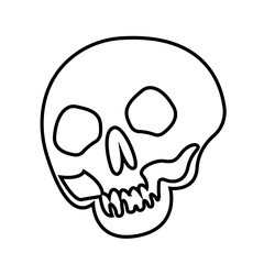 Human skull line art vector illustration isolated on white background