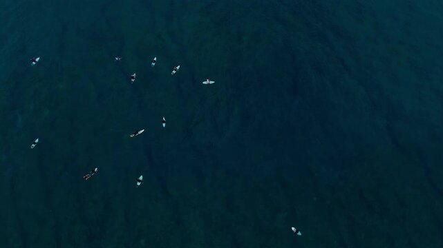 Drone top down aerial of surfers waiting in lineup, white boards in dark ocean water