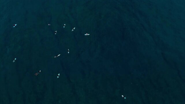 Drone top down aerial of surfers waiting in lineup, white boards in dark ocean water