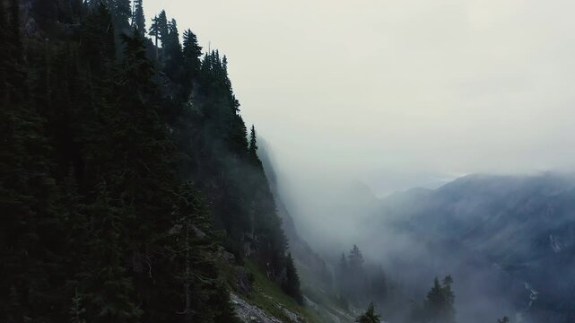 Drone flies along sloping cliff with PNW forested alpine trees growing between rocks