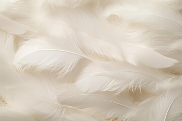 Fototapeta premium Close-up of delicate white feathers creating a fluffy, soft texture