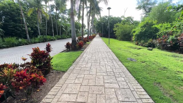 Walking along an avenue full of tropical plants and Cordyline fruticosa Rubra, surrounded by the natural and tropical environment of Mexico, an ideal place to relax and live a unique lifestyle.