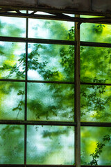 Old factory with objects abandoned inside and growing nature, power of life