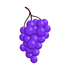 Bunch of juicy grapes. Cartoon flat illustration of ripe berries