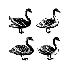 Swan-silhouette Art Vector Illustration