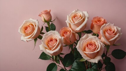 Obraz premium A flat lay of roses artfully arranged on a soft pink background.
