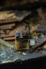 Old electronic device, Old factory with objects abandoned inside and growing nature, power of life