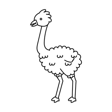 recommend clip art: Emu coloring page , isolated , Simple Animal Coloring Page , Vector Illustration