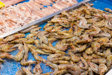 Fresh raw shrimp sell in the wet market